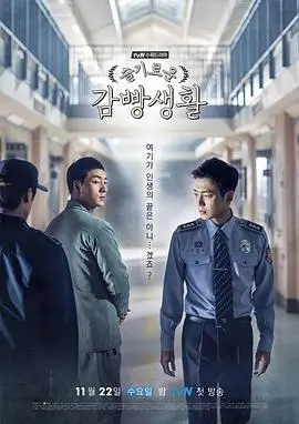 晨光之约 电视剧 2025